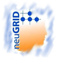 NeuGrid